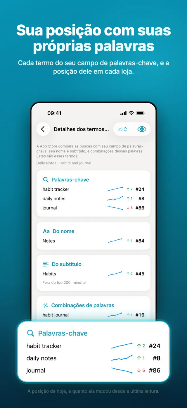 Sua posição com suas próprias palavras